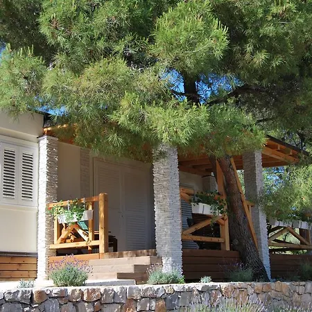 Guest house Mitja A1 3*