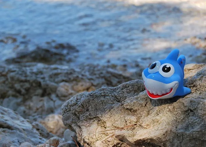 Guest house Mitja A1