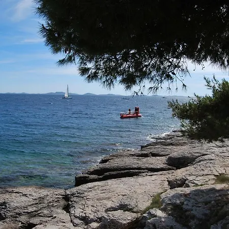 Mitja A1 Πανσιόν