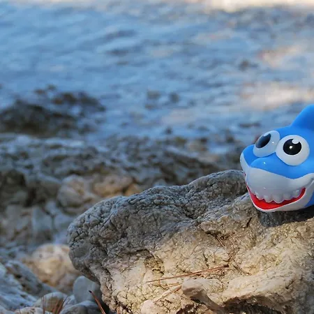 Πανσιόν Mitja A1